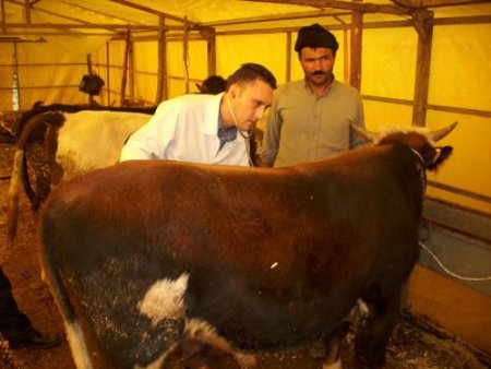 Aydınlar'da Görülen Şap Hastalığı Belediyeyi Harekete Geçirdi