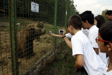 Ayıların yiyecekleri için soğuk hava deposu