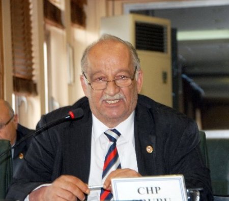 Ayvacık Eynel Köprüsü jüri özel ödülünü aldı