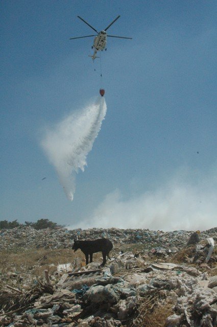 Ayvalık Burhaniye'de Yangın