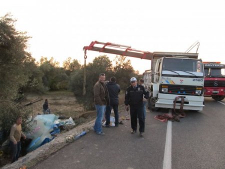 Ayvayı yerken kamyonu devirdi