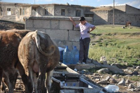 Azap köyü susuzluk azabı çekiyor
