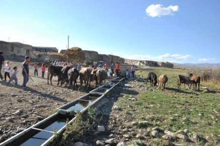 Azap köyü susuzluk azabı çekiyor