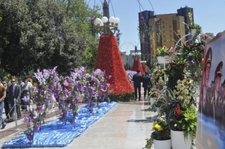 Azerbaycan'da Gül Bayramı ve Aliyev'in doğum günü kutlanıyor