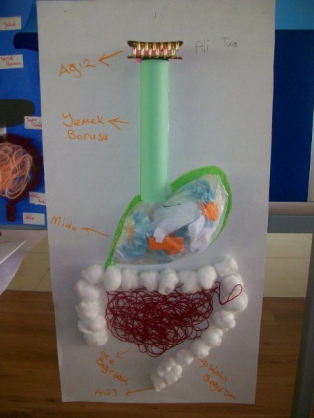 Bademli Koleji'nin bilim adamları