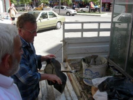 Bafra'da Canlı Somon Balığı Satılıyor