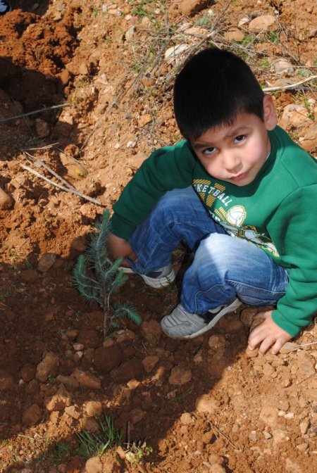 Bahar Bayramı'nda Manavgat'a 2 Bin Fidan Dikildi