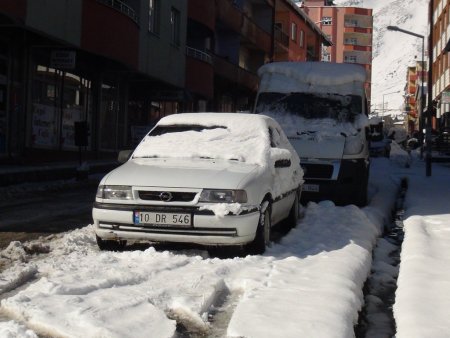 Baharı bekleyen Bitlisliler güne karla uyandı