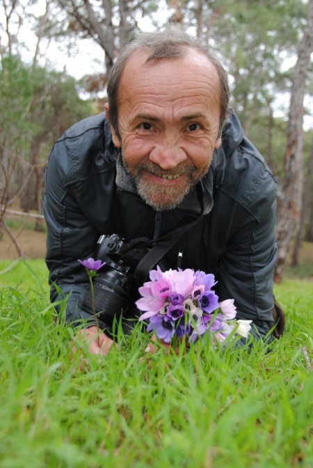 Baharın müjdecisi dağ laleleri yüzünü gösterdi