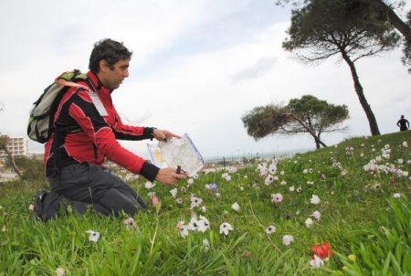Baharın müjdecisi dağ laleleri yüzünü gösterdi