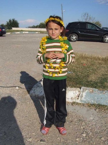 Baharın müjdecisi kır çiçekleri açtı