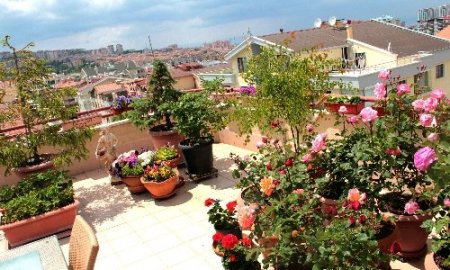 Bahçe balkon yarışmasında final heyecanı başlıyor