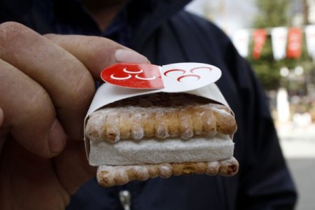 Bahçeli, seçim çalışmalarını ‘Püskevit' dağıtarak başlattı