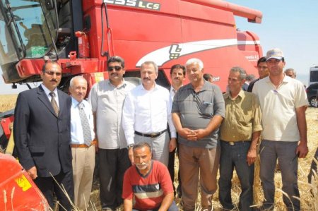 Bakan Çağlayan, Muş Ovası’nda Buğday Hasadı Yaptı