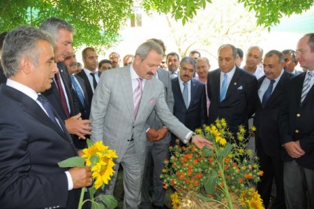 Bakan Çağlayan, Muş Ovası’nda Buğday Hasadı Yaptı