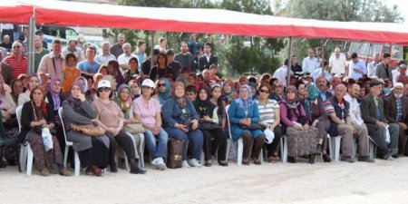 Bakan Çiçek: Yargı Konusunda Türkiye Çok Önemli Mesafe Aldı