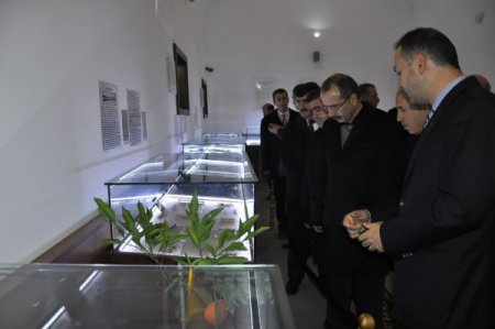 Bakan Dinçer: Varsa bir durum, kararımızı tekrar gözden geçiririz