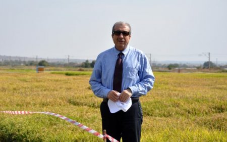 Bakan Eker, 2012 yılı çeltik müdahale fiyatını açıkladı: Tonu 1065 lira