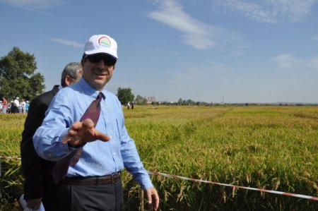 Bakan Eker, 2012 yılı çeltik müdahale fiyatını açıkladı: Tonu 1065 lira