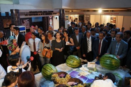 Bakan Eker, Diyarbakır Günleri'nde türkü söyledi