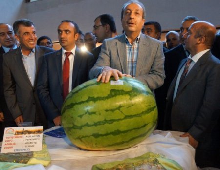 Bakan Eker, Diyarbakır Günleri'nde türkü söyledi