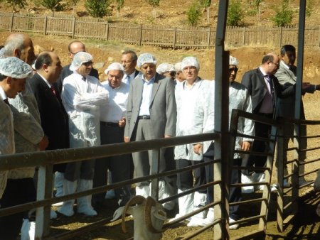 Bakan Eker, keçi çiftliğini gezdi
