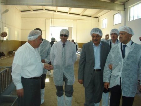 Bakan Eker, keçi çiftliğini gezdi