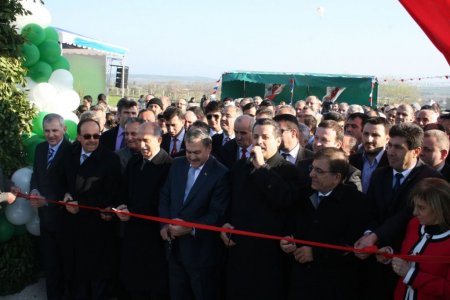 Bakan Eroğlu, önce faydasını anlattı sonra kestane dağıttı