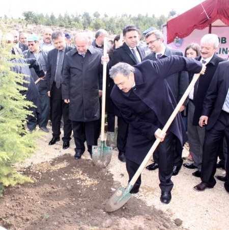 Bakan Eroğlu: 13 milyon ağaçla 'Meyve Ormanı' oluşturacağız