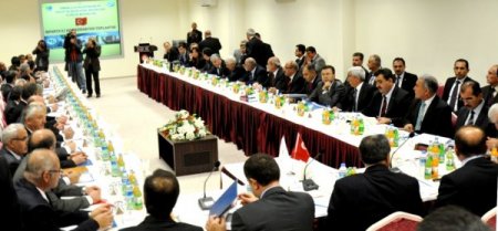 Bakan Eroğlu Devreye Girdi, Orman Atıklarından Enerji Üretilecek