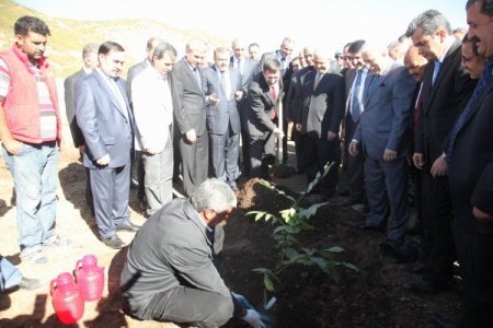 Bakan Eroğlu: Muş, Bingöl ve Elazığ'a özel kalkınma projesi başlatıyoruz