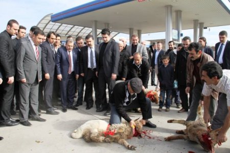 Bakan Güler: Çözüm sürecinde herkes elini taşın altına koysun
