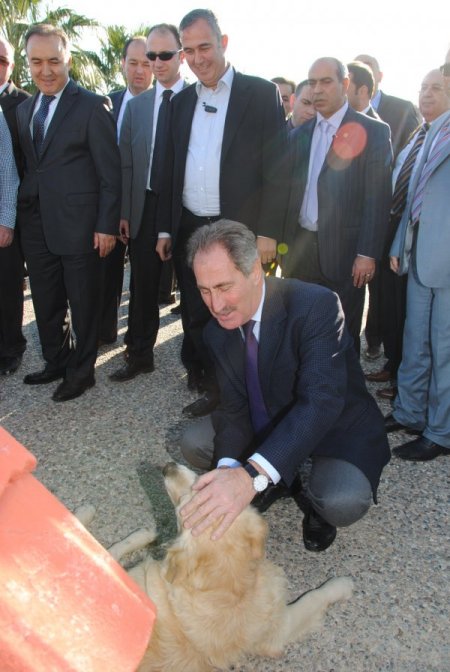 Bakan Günay: Dere yataklarına otel yapımına izin vermeyeceğiz