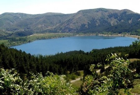 Bakanlık, 400 baraja orman kuracak