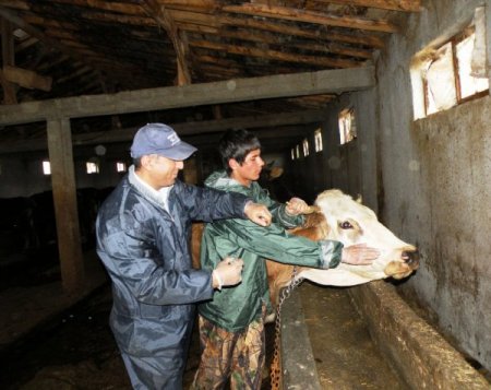 Bakanlık, Havanları Göz Damlası İle Aşılamaya Başladı