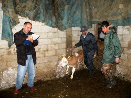 Bakanlık, Havanları Göz Damlası İle Aşılamaya Başladı