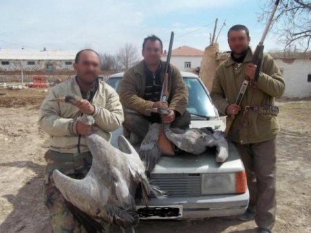 Bakanlık, kaçak avcıları twitter ve facebookta avladı