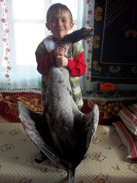 Bakanlık, kaçak avcıları twitter ve facebookta avladı