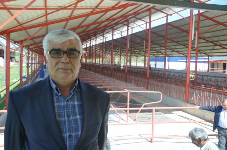 Bakanlık, Kozan’ın köyünde 'Süt Sığırcılığı Projesi' uygulayacak