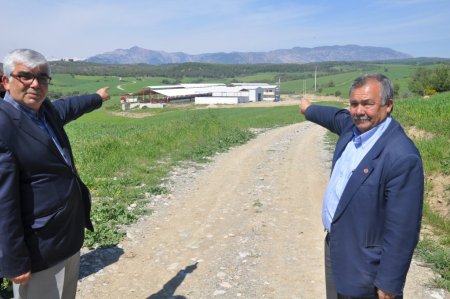 Bakanlık, Kozan’ın köyünde 'Süt Sığırcılığı Projesi' uygulayacak