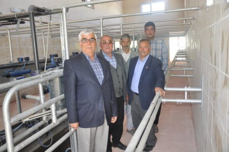 Bakanlık, Kozan’ın köyünde 'Süt Sığırcılığı Projesi' uygulayacak