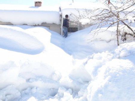 Bakar mısınız, burası benim evim mi acaba?