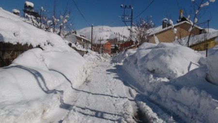 Bakar mısınız, burası benim evim mi acaba?