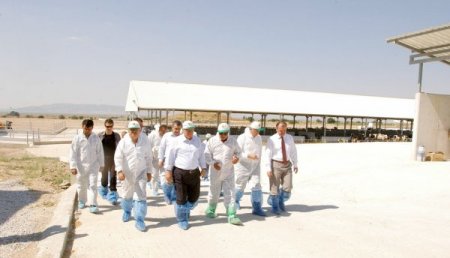 Baklan’a Abd Ve Avrupa’dan Daha Modern Hayvancılık Tesisi Kuruldu