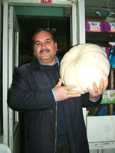 Bal Kabağı Tezgahlarda Yerini Aldı