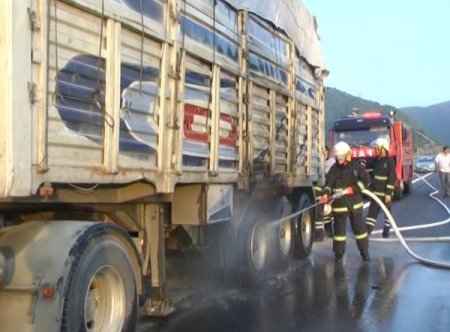 Balata'da çıkan yangın, 15 ton mısırı ziyan etti