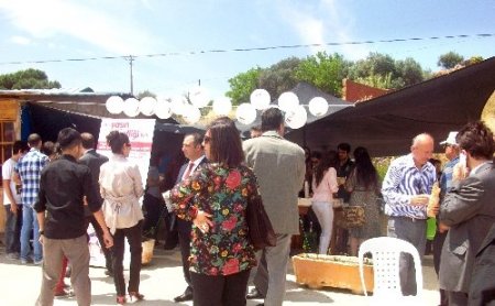 Balık ekmek şenliği Foça'ya taşındı