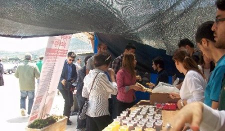 Balık ekmek şenliği Foça'ya taşındı