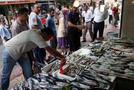 "balık Fiyatları 15 Eylül'den Sonra Ucuzlayacak"