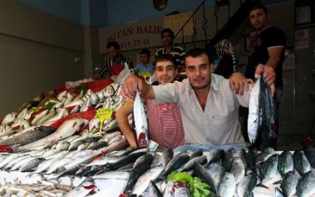 "balık Fiyatları 15 Eylül'den Sonra Ucuzlayacak"